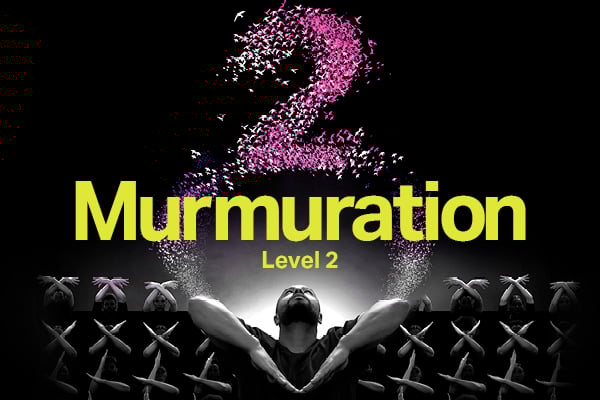 Murmuration Level 2 thumbnail
