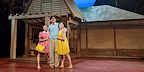 My Neighbour Totoro Gillian Lynne Theatre