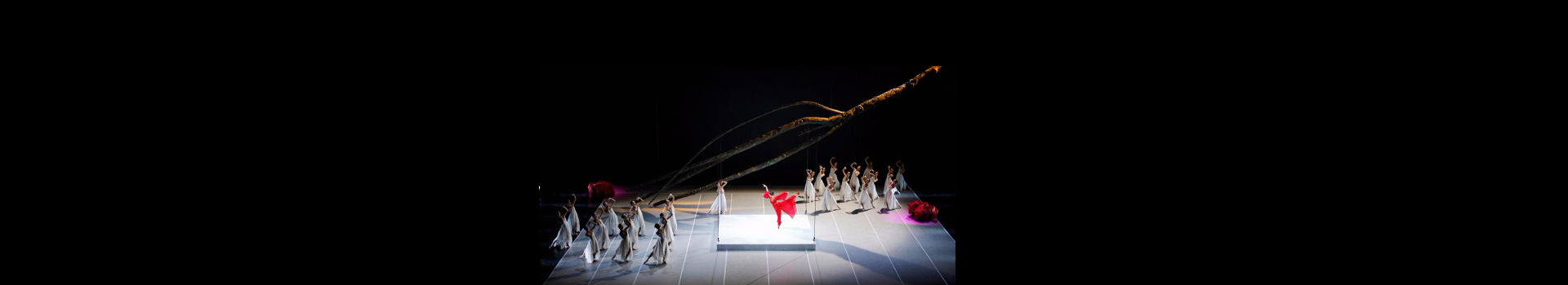 National Ballet of China — The Peony Pavillion