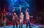 Neville's Island gallery image