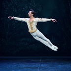 Nutcracker Delights gallery image