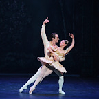 Nutcracker Delights gallery image