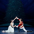 Nutcracker Delights gallery image