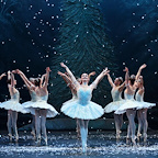 Nutcracker Delights gallery image