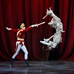 Nutcracker Delights gallery image