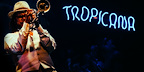 Paradise Under The Stars gallery image