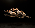 Phoenix Dance: The Rite of Spring / Left Unseen gallery image