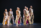 Phoenix Dance: The Rite of Spring / Left Unseen gallery image