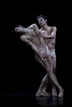 Photo by Laszlo Szito.
