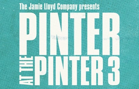 Pinter 3: Landscape/A Kind of Alaska/Monologue Tickets