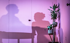 Pinter 2: The Lover/The Collection gallery image