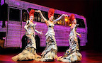 Priscilla Queen Of The Desert gallery image