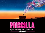 Priscilla Queen Of The Desert gallery image