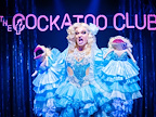 Priscilla The Party! gallery image