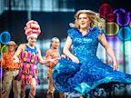 Priscilla The Party! gallery image