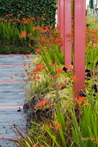 RHS Chelsea Flower Show gallery image