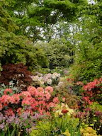 RHS Chelsea Flower Show gallery image