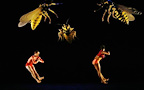 Rambert Dance Company