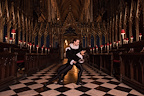 Rambert — The Creation gallery image