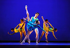 San Francisco Ballet