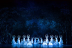 Scheherazade & Chopiniana gallery image