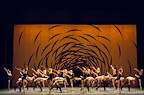 Scottish Ballet — MC 14/22 (Ceci est mon corps) / Emergence tickets