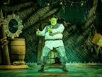 Shrek The Musical gallery image