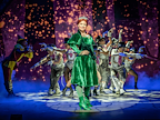 Shrek The Musical gallery image