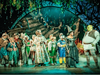 Shrek The Musical gallery image