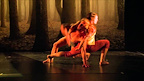 Sidi Larbi Cherkaoui: 4D tickets