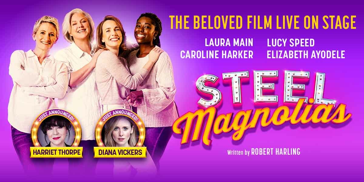 Steel Magnolias - Cardiff banner image