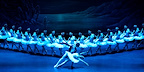 Swan Lake London