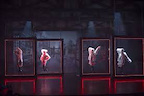 Swan Lake Reloaded gallery image