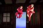Swan Lake Reloaded gallery image