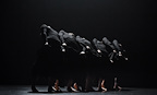 TAO Dance Theatre - 6 & 7 gallery image