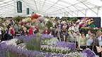 The 2016 RHS Hampton Court Palace Flower Show gallery image
