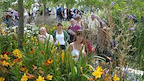 The 2016 RHS Hampton Court Palace Flower Show gallery image