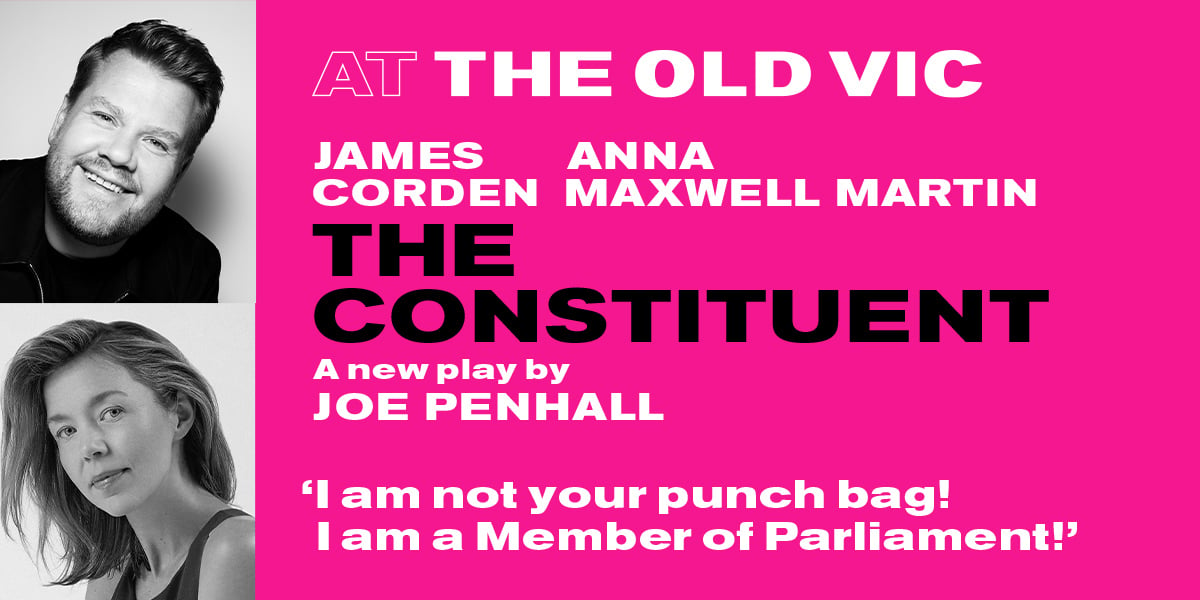 The Constituent  banner image