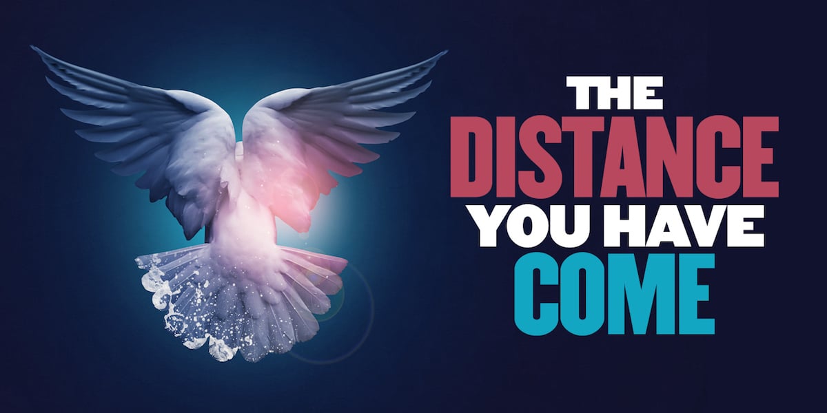 The Distance You Have Come banner image