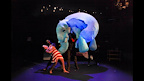 The Elephantom gallery image