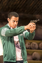The Lieutenant of Inishmore gallery image