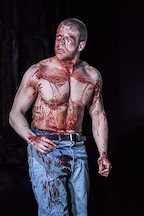 The Lieutenant of Inishmore gallery image