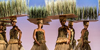 Performers carry tall grass props across the stage during the savannah scenes of The Lion King musical.