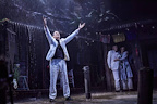 The Night of the Iguana gallery image