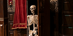 Skeleton coming out the closet in The Play That Goes Wrong