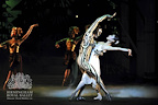 London Coliseum Tickets 