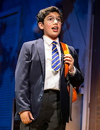 The Secret Diary of Adrian Mole aged 13 3/4 gallery image