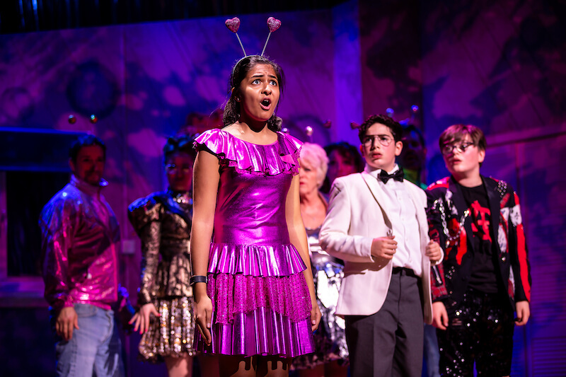 The Secret Diary of Adrian Mole aged 13 3/4 gallery image