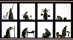 The Welkin gallery image