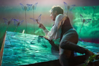 The Wider Earth gallery image